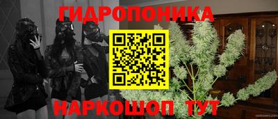 альфа пвп Ленинск-Кузнецкий