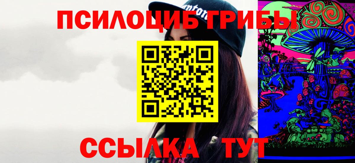 Братск  Галлюциногенные грибы прущие грибы  Вход с VPN 