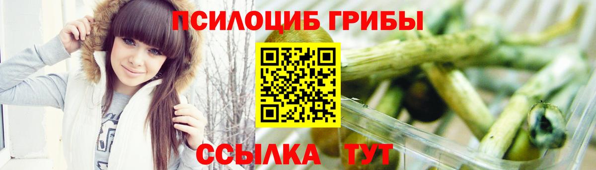 Галлюциногенные грибы Psilocybe Братск